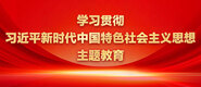 操比网址在线观看学习贯彻习近平新时代中国特色社会主义思想主题教育_fororder_ad-371X160(2)